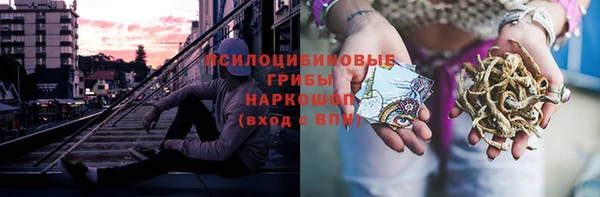 mdpv Коряжма