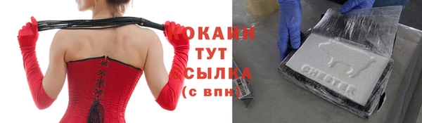 apvp Козельск