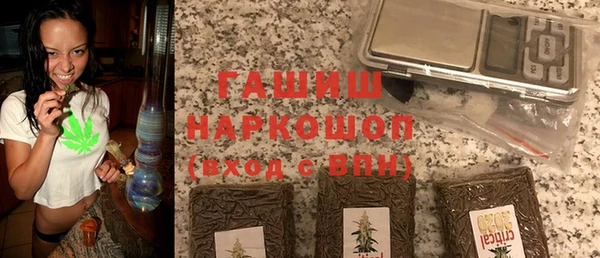 крисы Корсаков