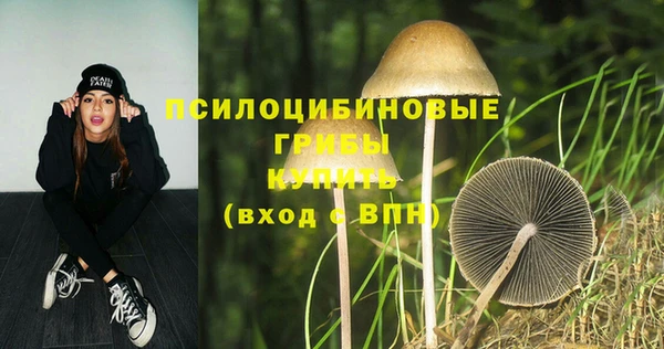 кокс Костерёво