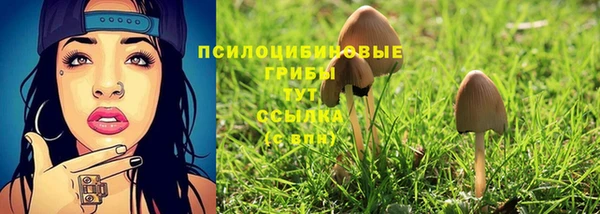 МДМА Кодинск