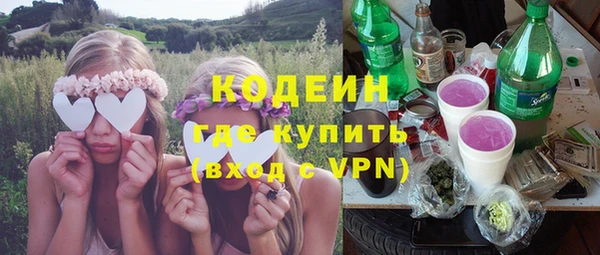 крисы Корсаков
