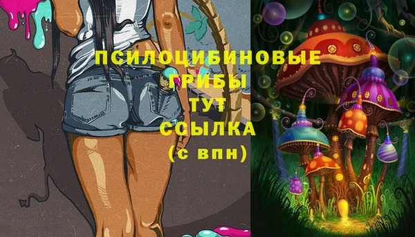 apvp Козельск
