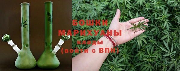 крисы Корсаков