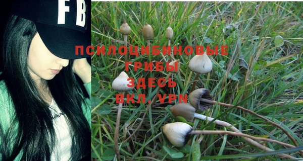 альфа пвп VHQ Козловка